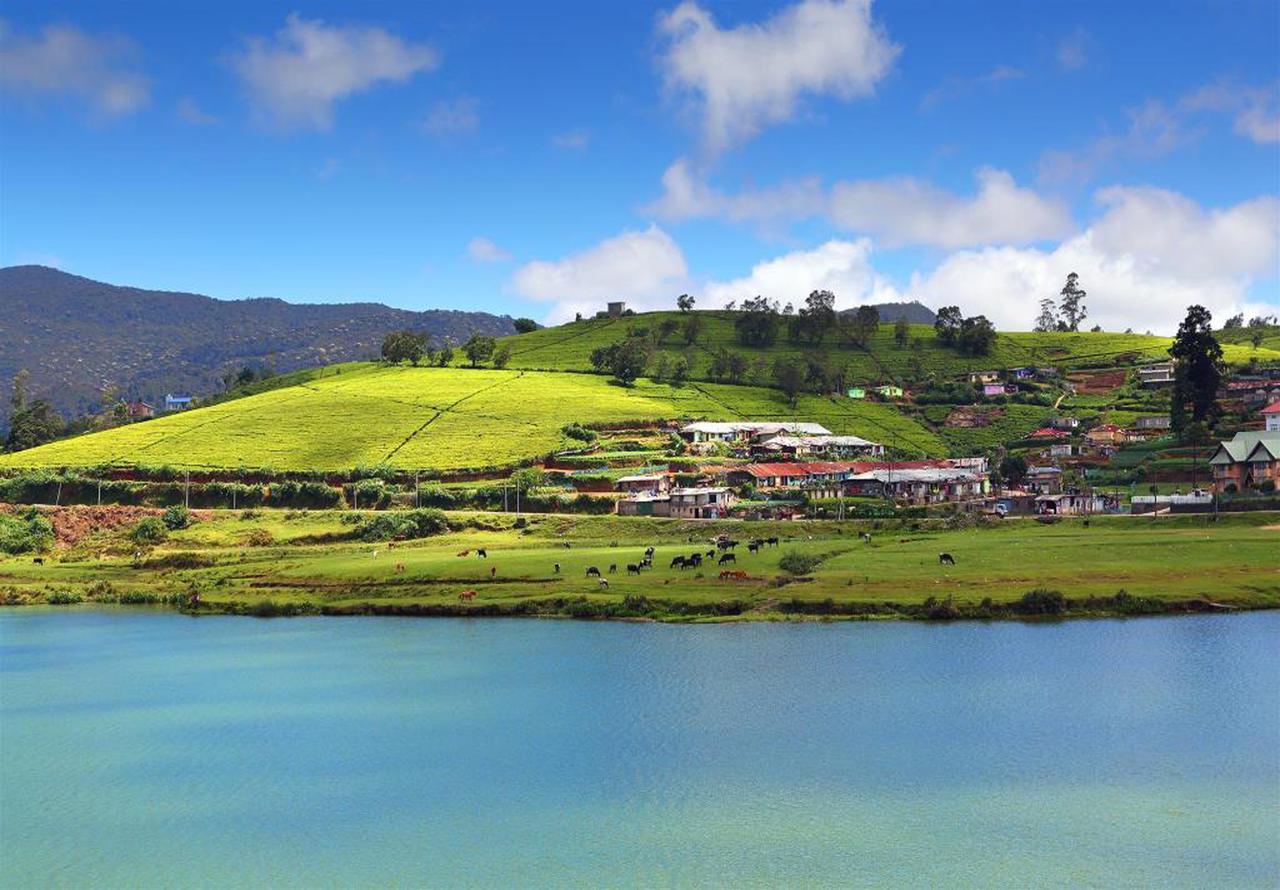 Hill View Bungalow Bed and Breakfast Nuwara Eliya Exteriör bild